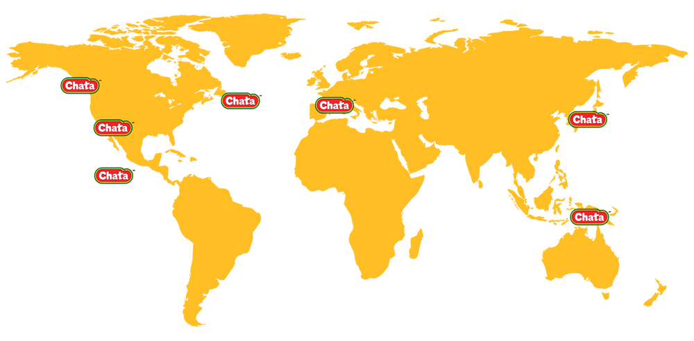 Chata presente en todos los hogares de M&eacute;xico y Latinoam&eacute;rica